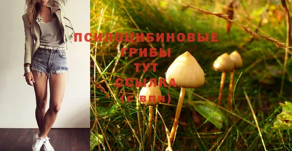 соль курить ск Зеленодольск
