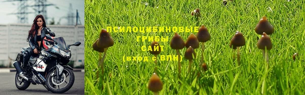соль курить ск Зеленодольск