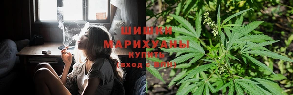 гидра Зерноград