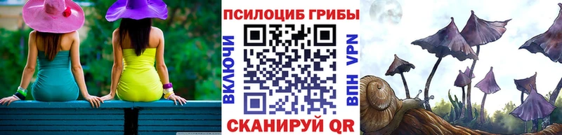 Купить где  Камбарка  Псилоцибиновые грибы Magic Shrooms 