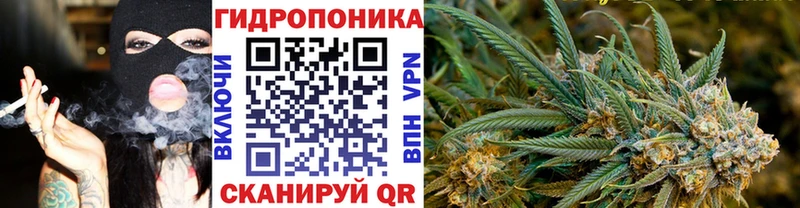 Шишки марихуана гибрид Камбарка